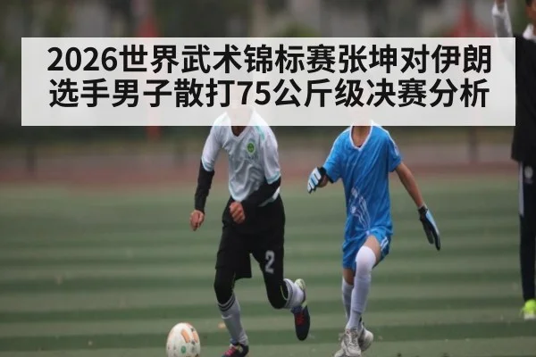 2026世界武术锦标赛张坤对伊朗选手男子散打75公斤级决赛分析